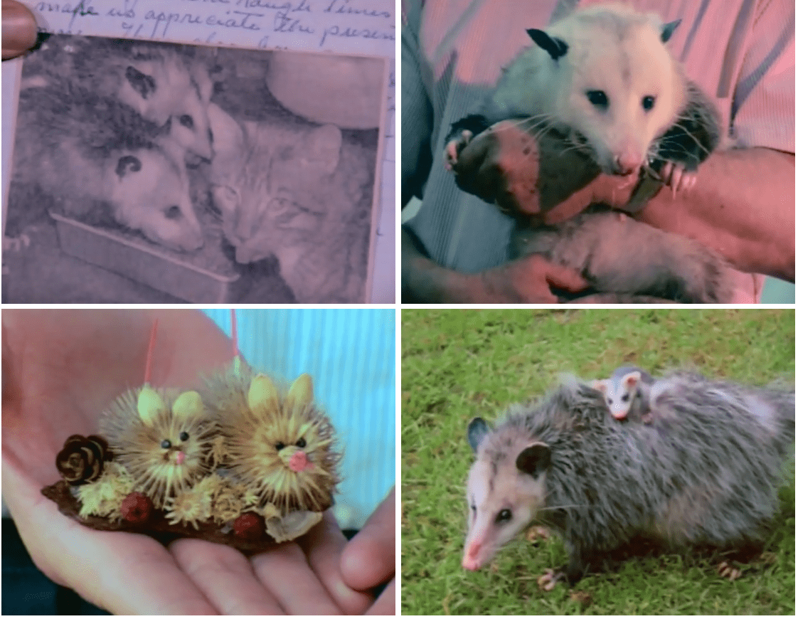 Captura de pantalla 2026-04-11 a las 13.47.01