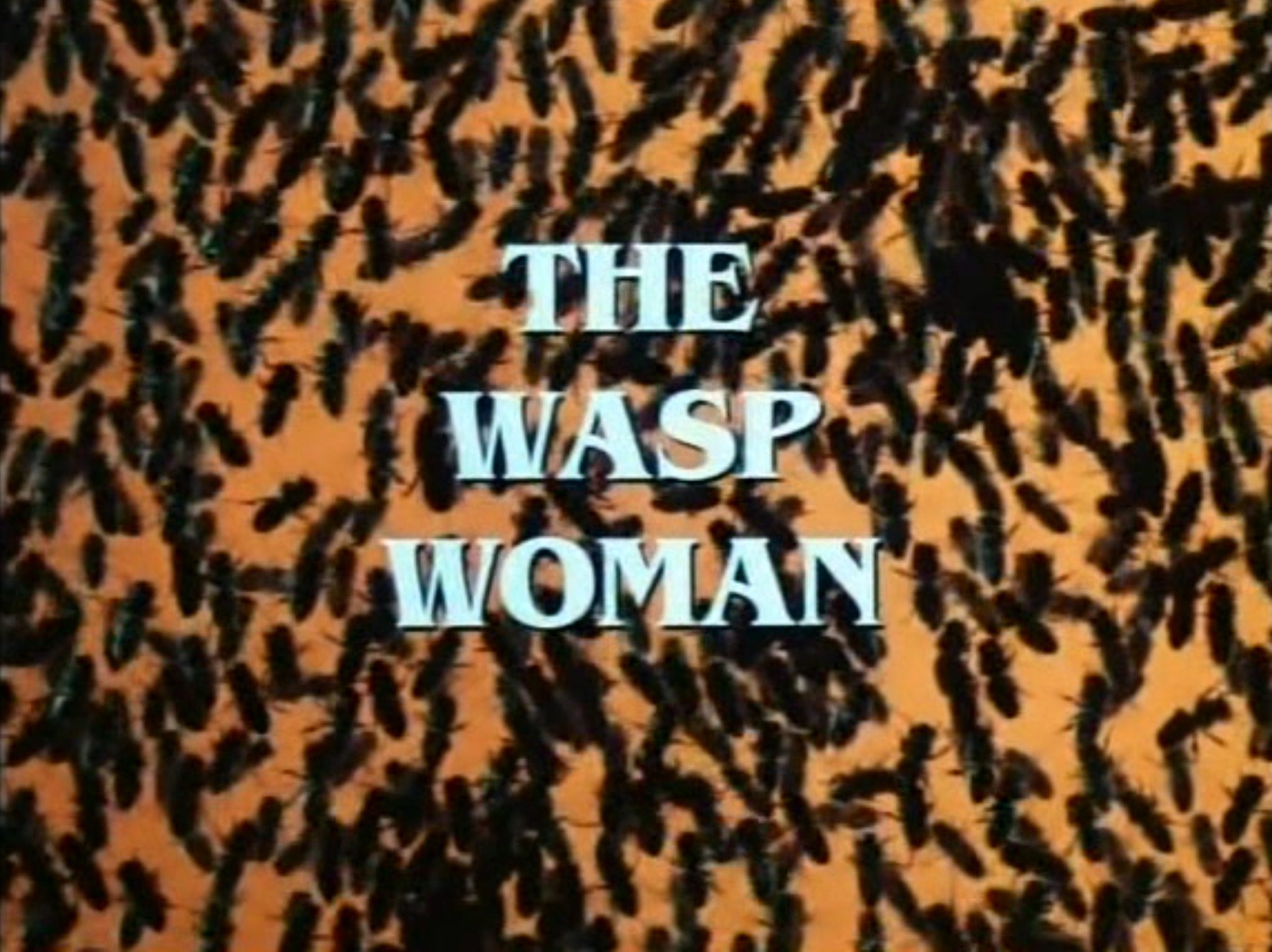 tumblr_7449bfd642255993241db9c1c1294a97_4c9c5fb8_2048